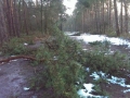 19a_ravage_baan140117