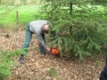 1_groenhalen_05