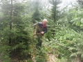 1_groenhalen_08