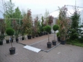 2_tent122