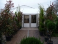 2_tent123