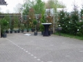 5_P1020204