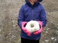 SneeuwbijVL_Sanne2